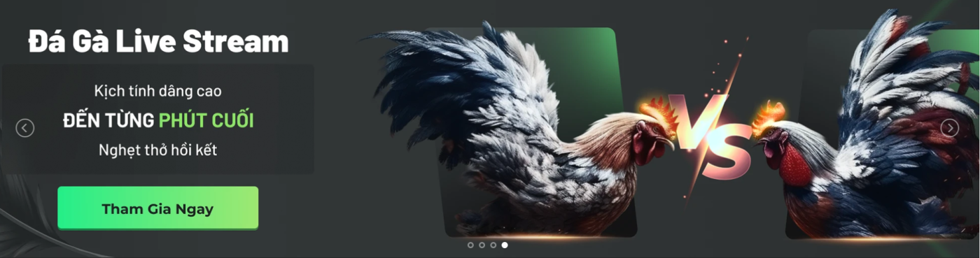 Đá gà live stream