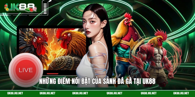 Những điểm nổi bật của sảnh đá gà tại UK88